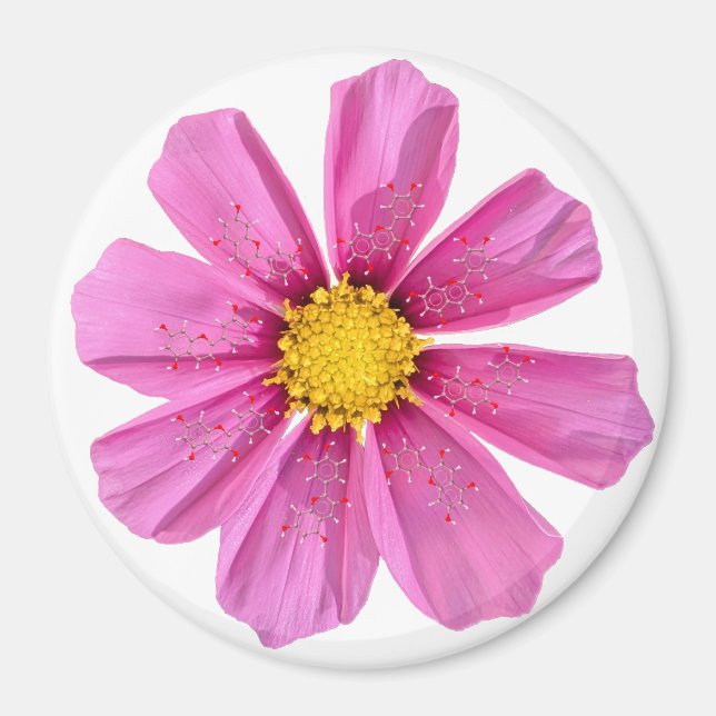 Flower Chemistry Magnet (Framsidan)