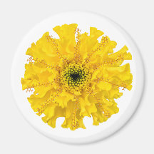 Flower Chemistry Magnet Marigold