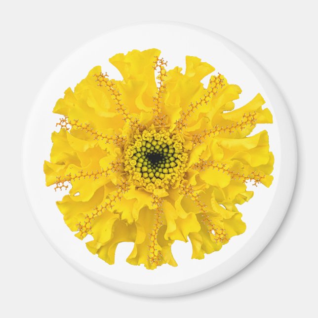 Flower Chemistry Magnet Marigold (Framsidan)