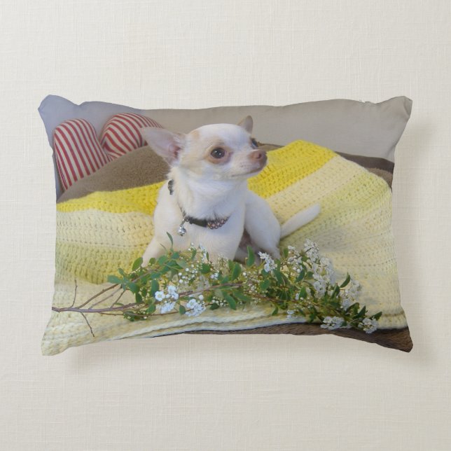 Flower Chihuahua accent Pillow Prydnadskudde (Framsidan)