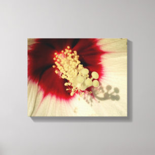 Flower Close Up Photo Single Art Poster Canvastryck