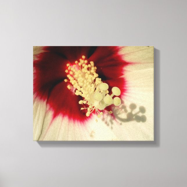 Flower Close Up Photo Single Art Poster Canvastryck (Framsida)
