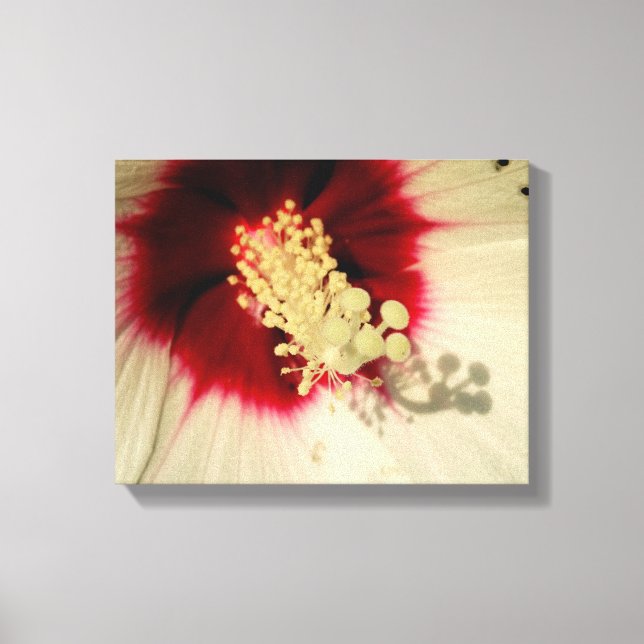 Flower Close Up Photo Single Art Poster Canvastryck (Framsida)