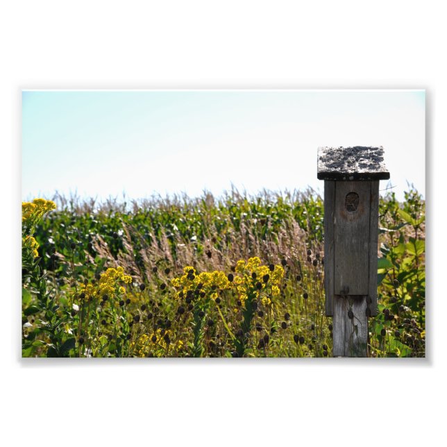 Flower Coop Fototryck (Framsidan)