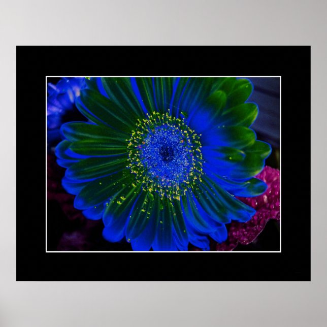 Flower Dahlia Blue Abstrakt Poster (Framsidan)