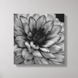 Flower Dahlia Canvastryck