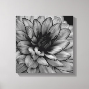 Flower Dahlia Canvastryck