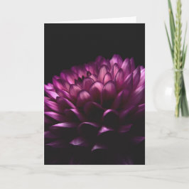 Flower Dahlia Kort