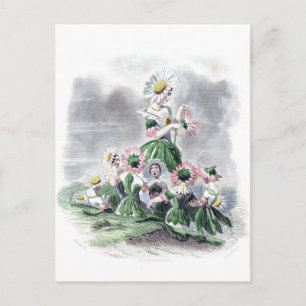 Flower Dam Daisy Animerad Flowers Grandville Vykort