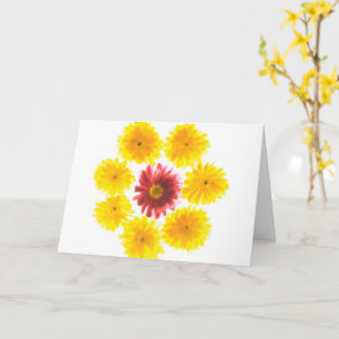 Flower Dance Chrysanthemum, få bra fart Kort