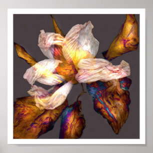 Flower Dance Poster