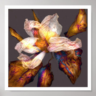 Flower Dance Poster