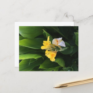 Flower Delivery Vykort