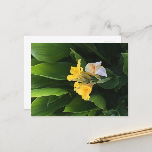 Flower Delivery Vykort (Fram/Back In Situ)