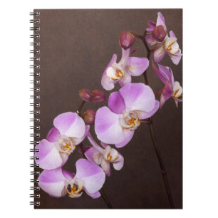 Flower Diagonal Violet White Close Photo Anteckningsbok Med Spiral