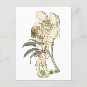 Flower Fairy Folke-vykort Vykort
