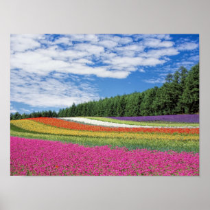 Flower Fält Poster