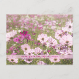 Flower Fält Sunlight från Rosa Fuchsia Cosmos Flow Vykort