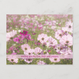 Flower Fält Sunlight från Rosa Fuchsia Cosmos Flow Vykort
