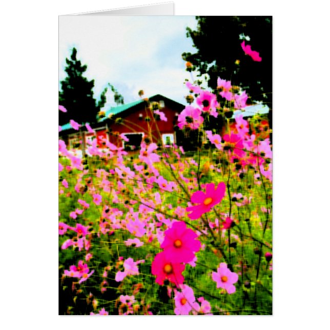 Flower Farm-målningen OBS Kort (Framsidan)