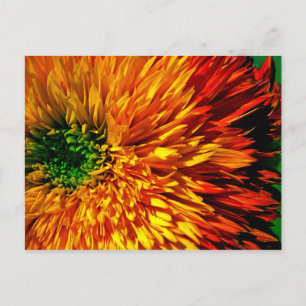 Flower Fireworks-vykort Vykort
