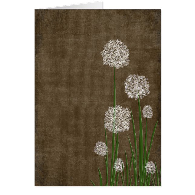 Flower Fluff OBS Kort (Framsidan)