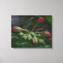 Flower Geranium Buds Canvastryck