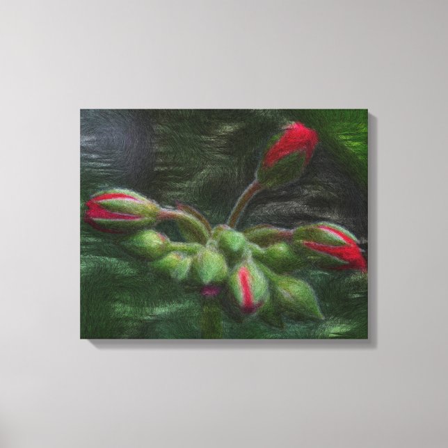 Flower Geranium Buds Canvastryck (Framsida)