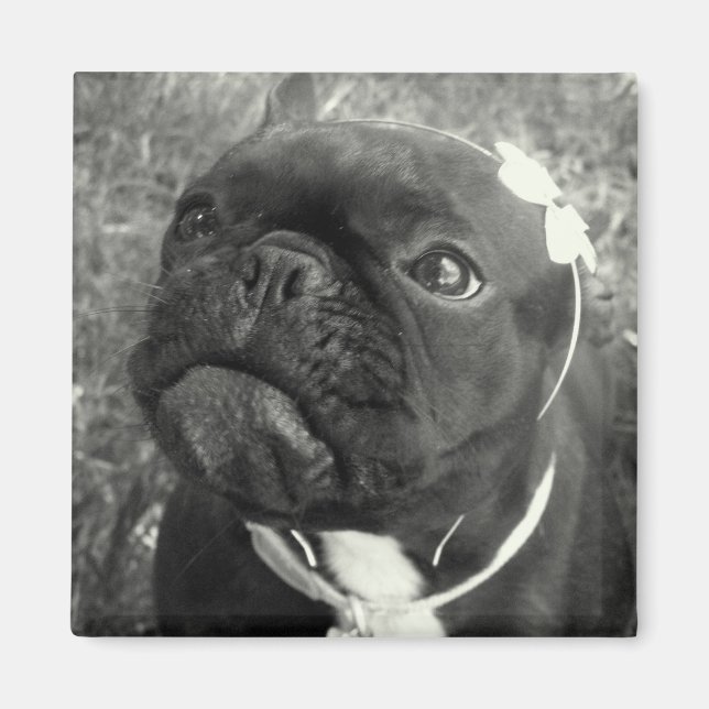 Flower Girl Magnet (Framsidan)