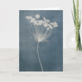 Flower Greeting Card Blank Inside  Kort