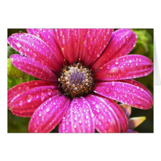 Flower Hälsningskort