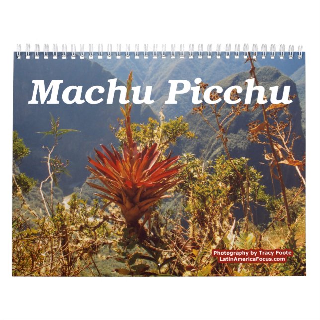 Flower Machu Picchu Peru Kalender (Omslag)