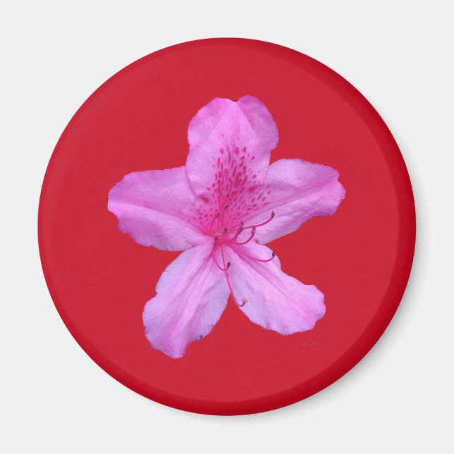 Flower Magnet (Framsidan)