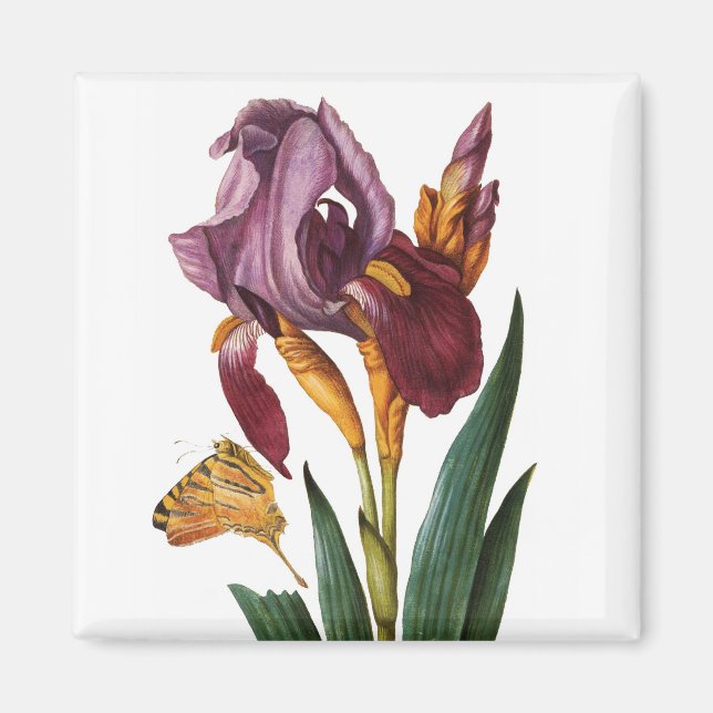 Flower Magnet (Framsidan)
