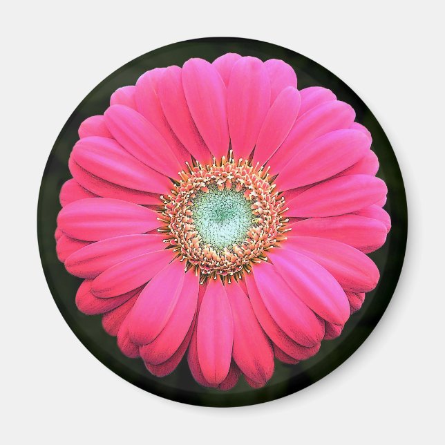 Flower Magnet (Framsidan)