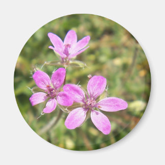 Flower Magnet