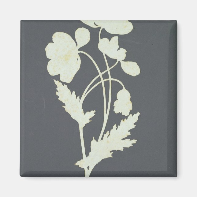 Flower Magnet (Framsidan)