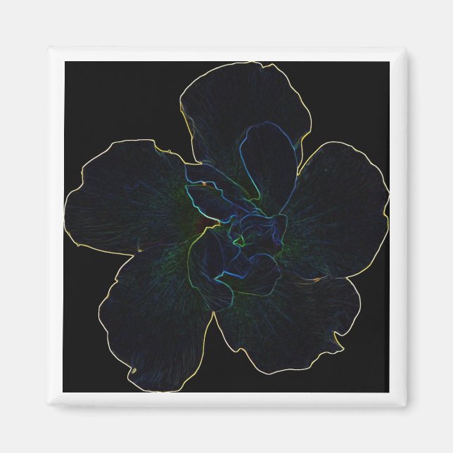 Flower Magnet (Framsidan)