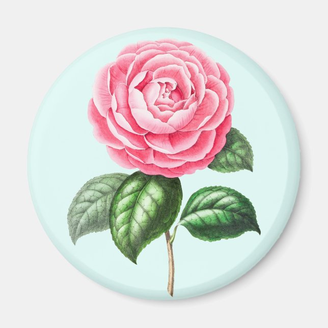 Flower Magnet (Framsidan)