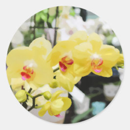 Flower-målarfärg av tropisk Gult Runt Klistermärke
