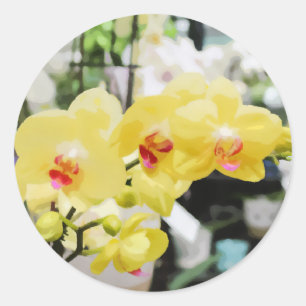 Flower-målarfärg av tropisk Gult Runt Klistermärke