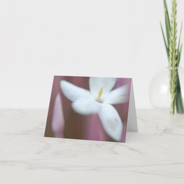 Flower-mappat gratulationskort kort (Framsida)