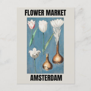 Flower Market Amsterdam Vintage Tulip Vykort