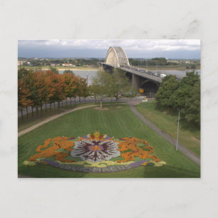 Flower mosaic, Nijmegen Vykort