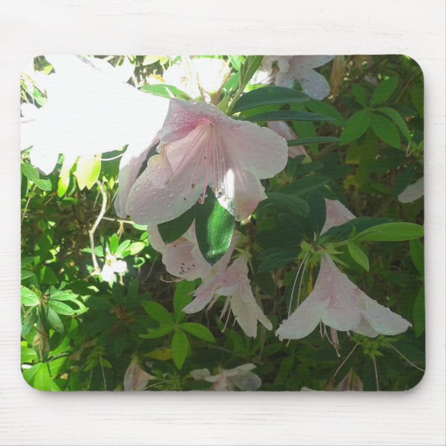 Flower Mouse Pad Musmatta (Framsidan)
