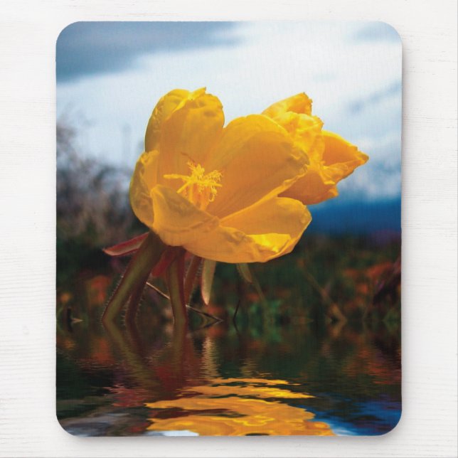 Flower Mousepad Musmatta (Framsidan)