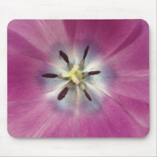 Flower Musmatta
