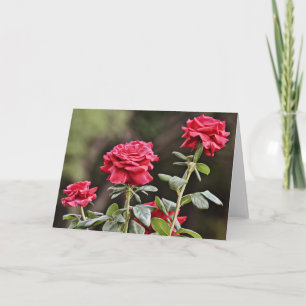Flower Note Card för vackert naturligt Ro Kort