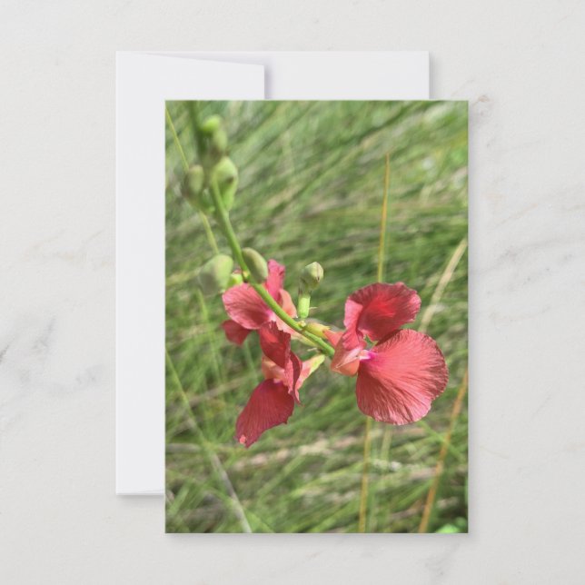 Flower Notecard Tack Kort (Framsida)