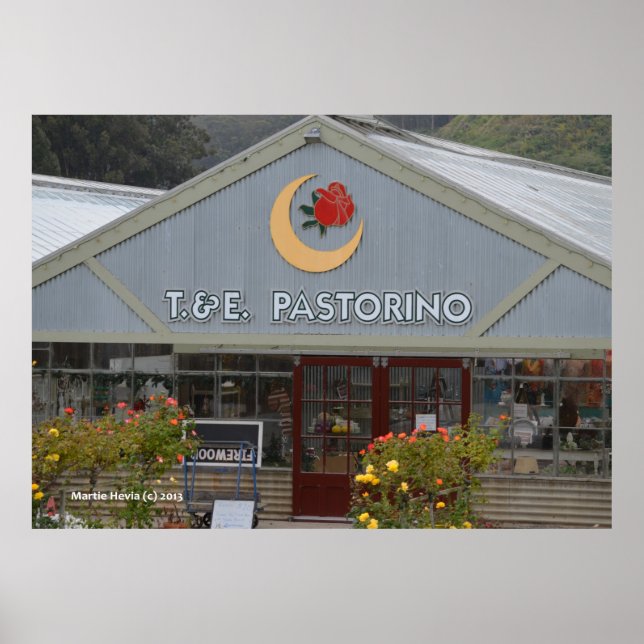 Flower Nursery Poster (Framsidan)